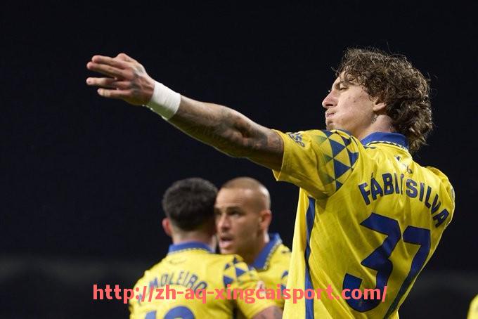 杏彩体育-德甲小球队如何生存与发展?经营策略与挑战