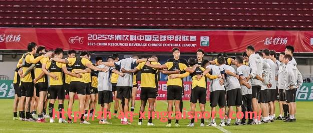 杏彩体育-首批进入德甲联赛的创始球队名单与历史地位