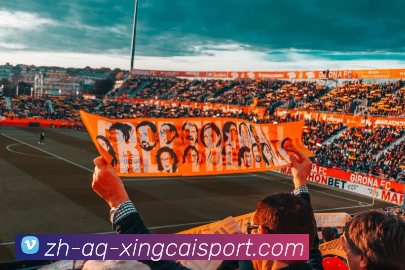 杏彩体育服务体系