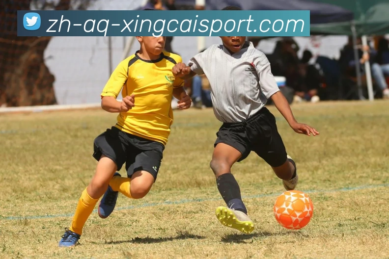 杏彩体育APP 体育赛事宣传图