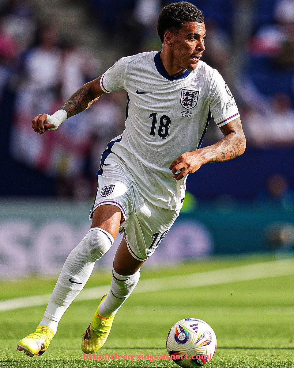 杏彩体育-世俱杯官方纪念品推荐及购买渠道介绍.